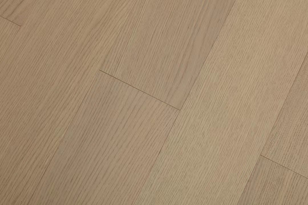 63156d34b9426.jpg